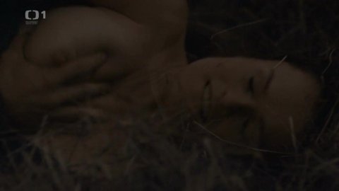 Marie Jansova - Bed Scenes in Rapl s01e03 (2016)