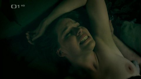 Natalie Rehorova - Bed Scenes in Škoda lásky s01e15 (2013)